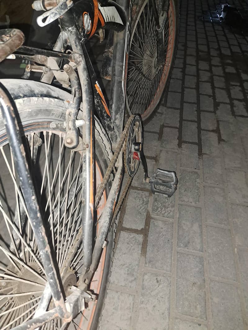 Super Shaino cycle 3