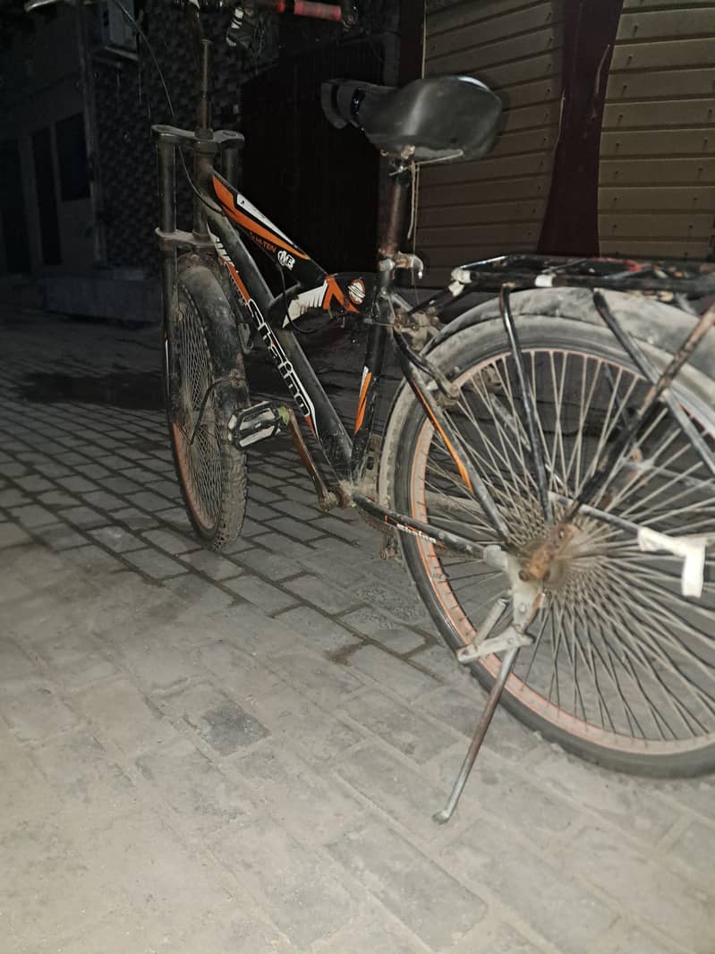 Super Shaino cycle 8