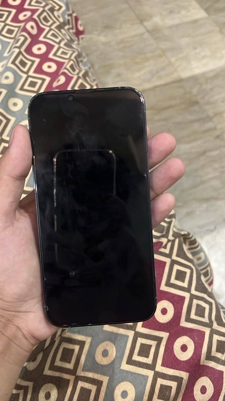 Apple iPhone 13 Pro Max 1