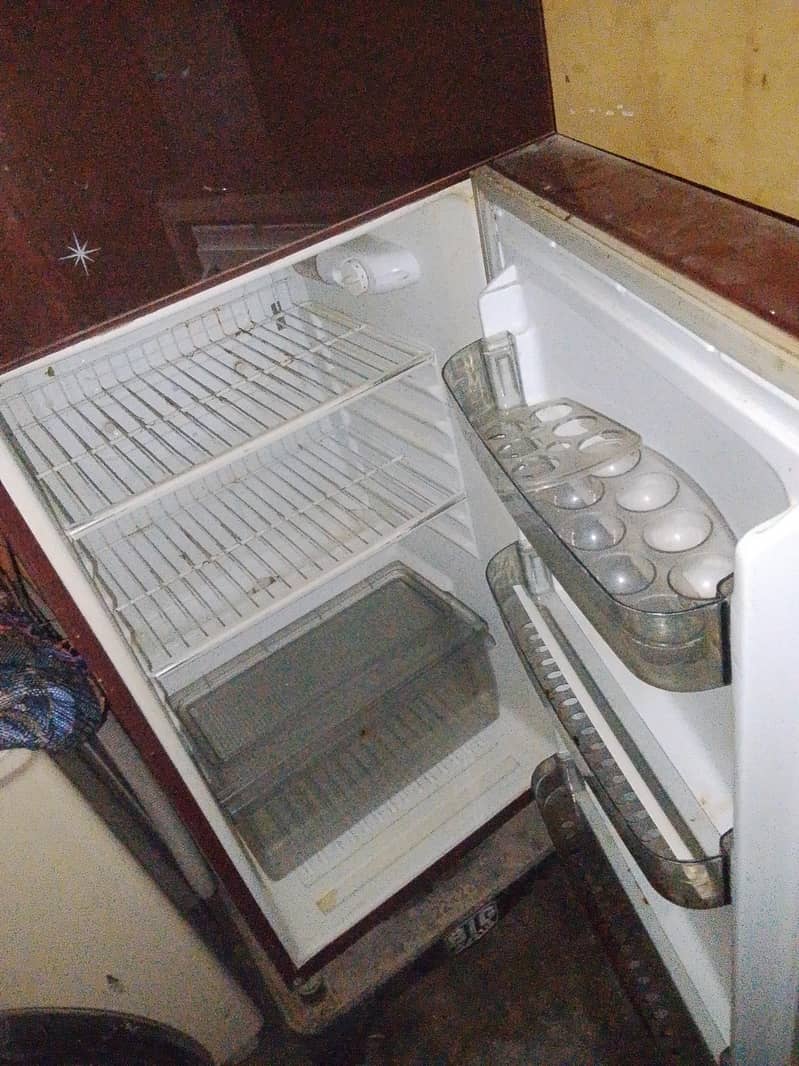 fridge 1