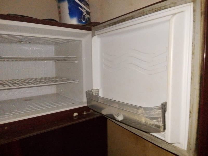 fridge 2