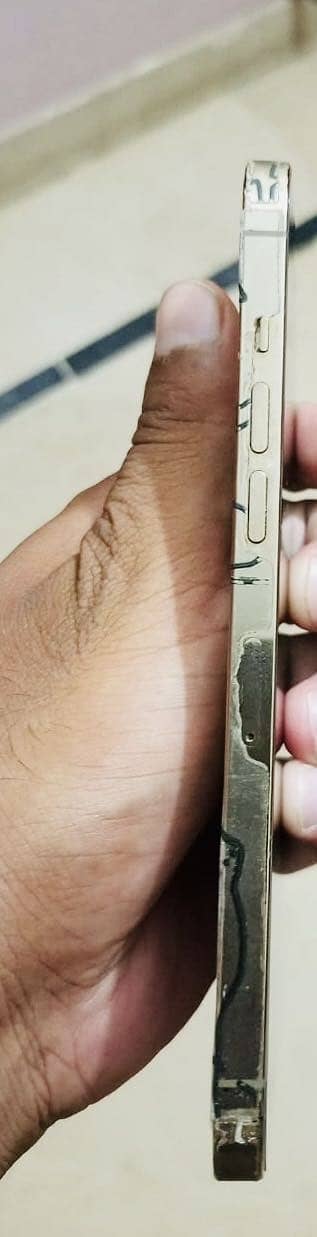 Apple iPhone 12 Pro Max 2