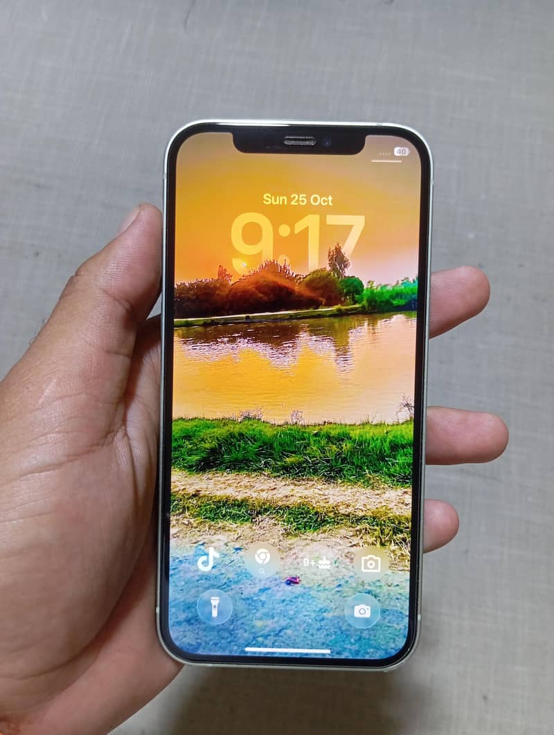 Apple iPhone 12 1
