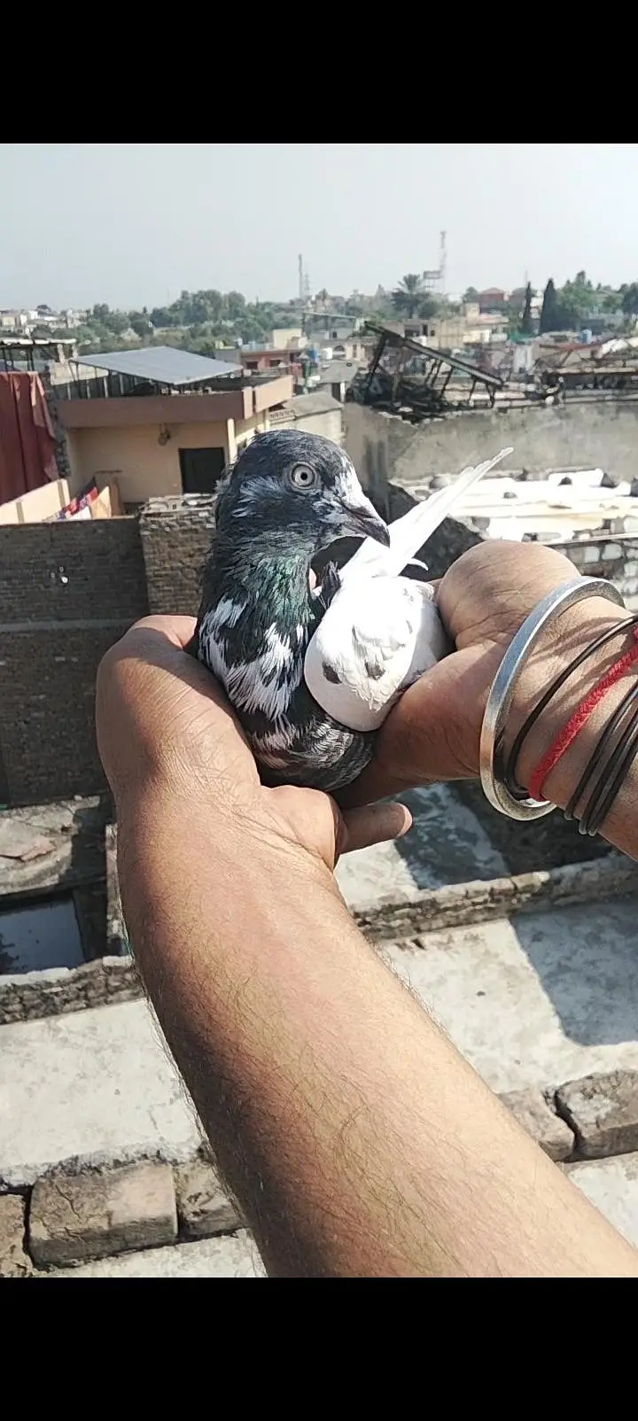 Ak teady male ha or ak junsira sa ha dono bht achay ha — photo 2