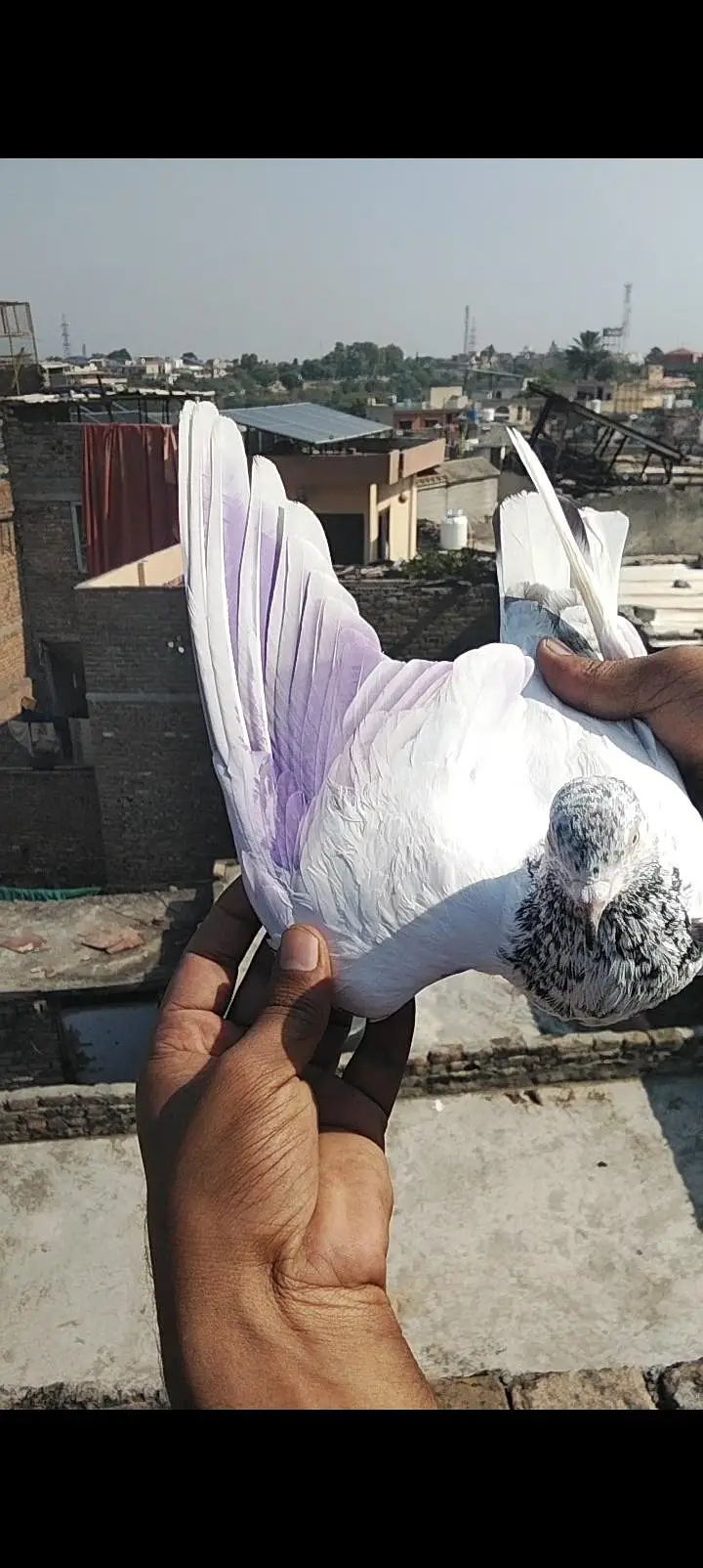 Ak teady male ha or ak junsira sa ha dono bht achay ha — photo 4