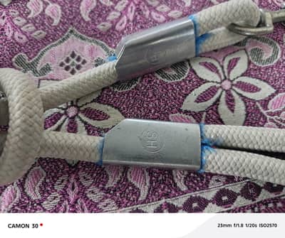 Dogs Leashes Brandard
