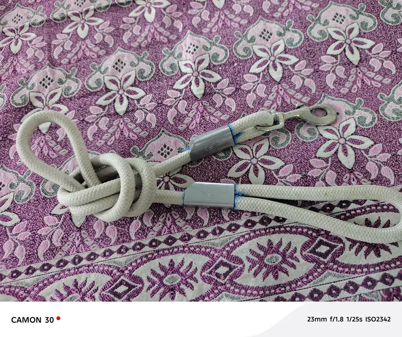 Dogs Leashes Brandard — photo 2