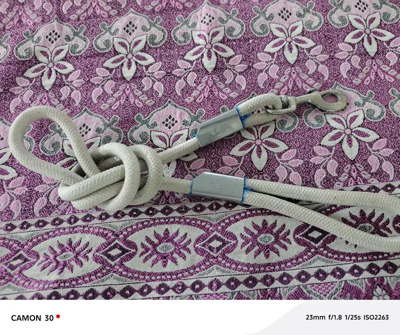 Dogs Leashes Brandard — photo 3