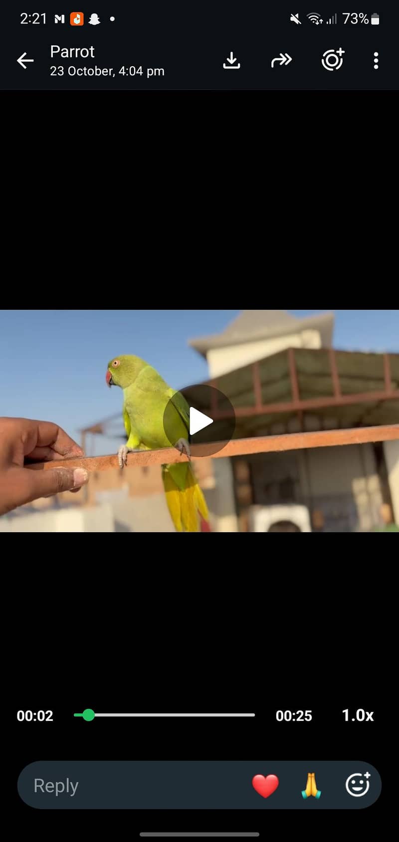 parrot 0