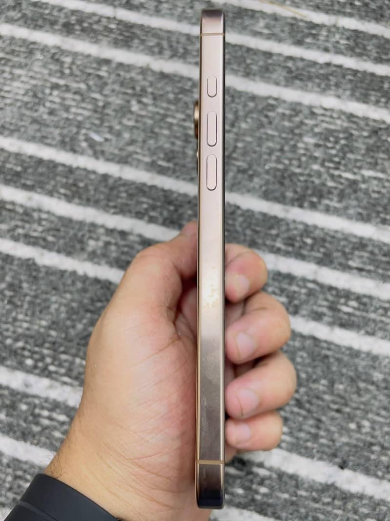 Apple iPhone 16 Pro Max 1