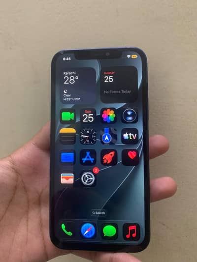 Apple iPhone 12