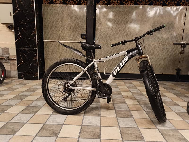 mountain bike 1