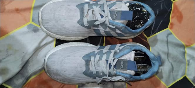 premium Blue and White shoes