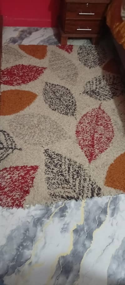 central Carpet (6' x 4')