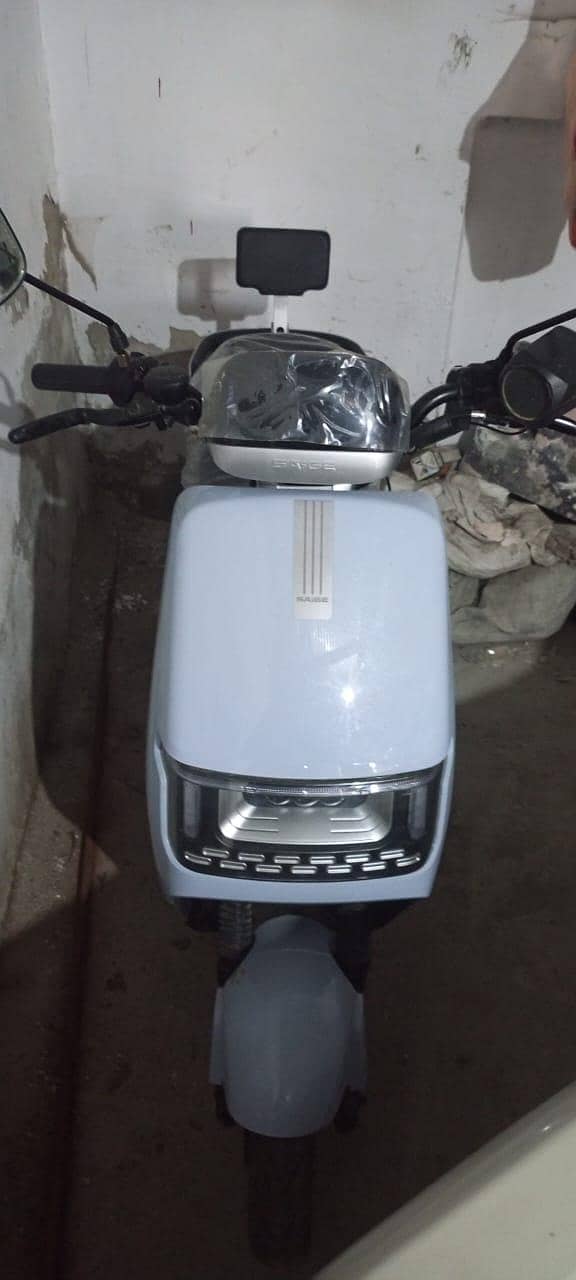 saigee N300 0