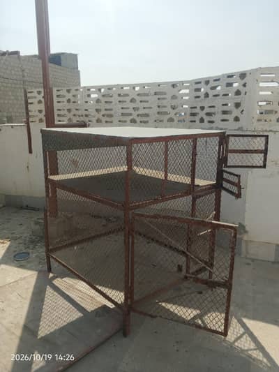 2 portion cage for hens and parrota.