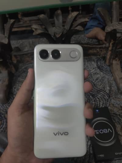 Vivo V80 Lite 5G