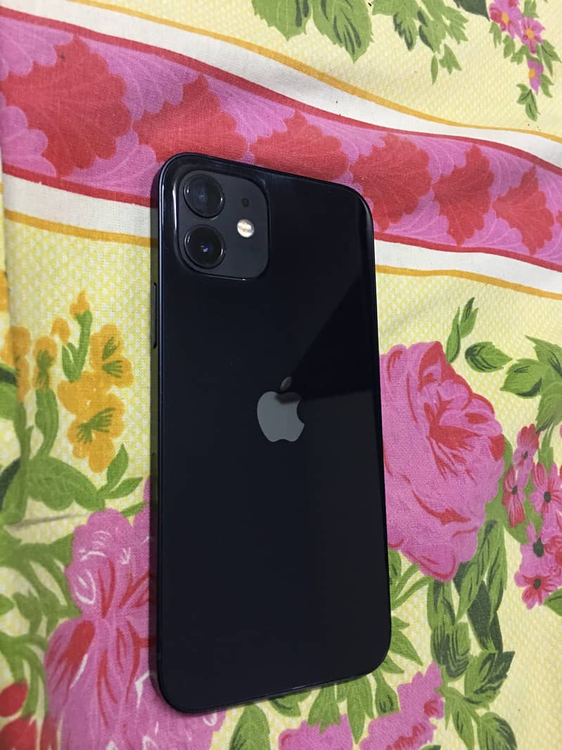 iPhone 12 1