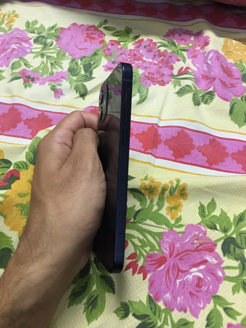 iPhone 12 3