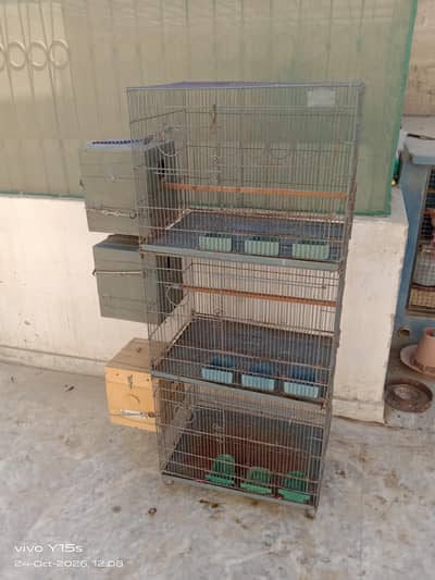 Beautiful Cage | Iron Cage