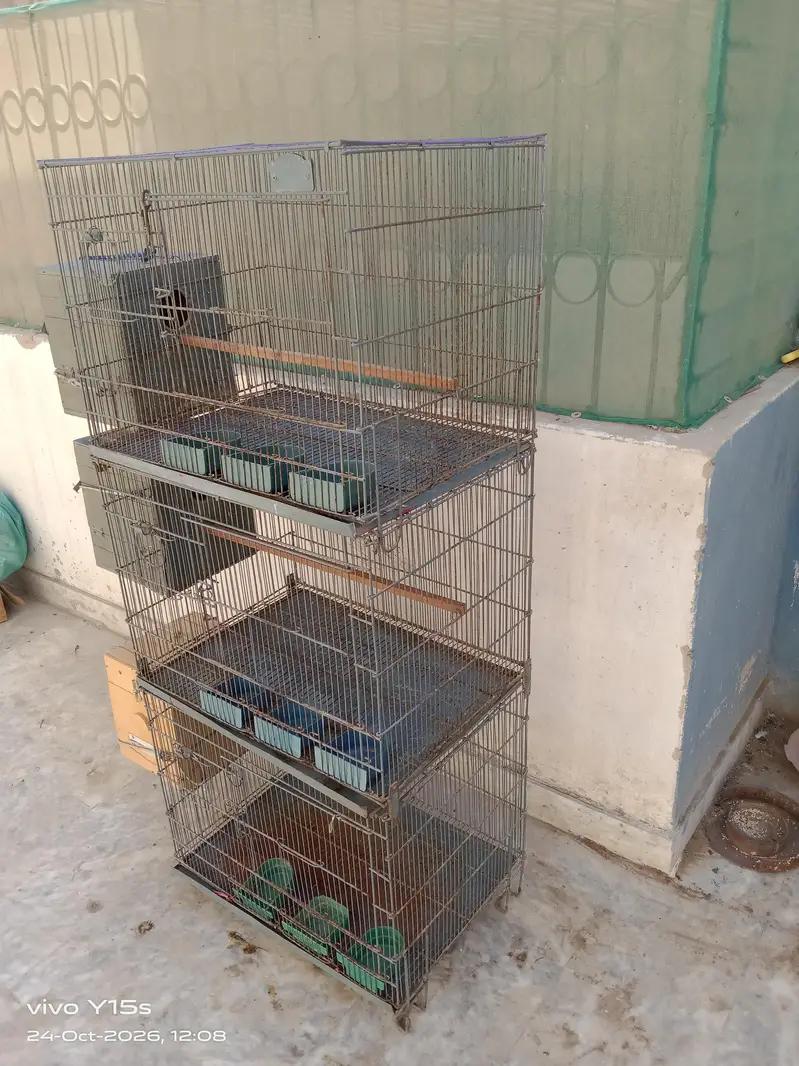 Beautiful Cage | Iron Cage — photo 2