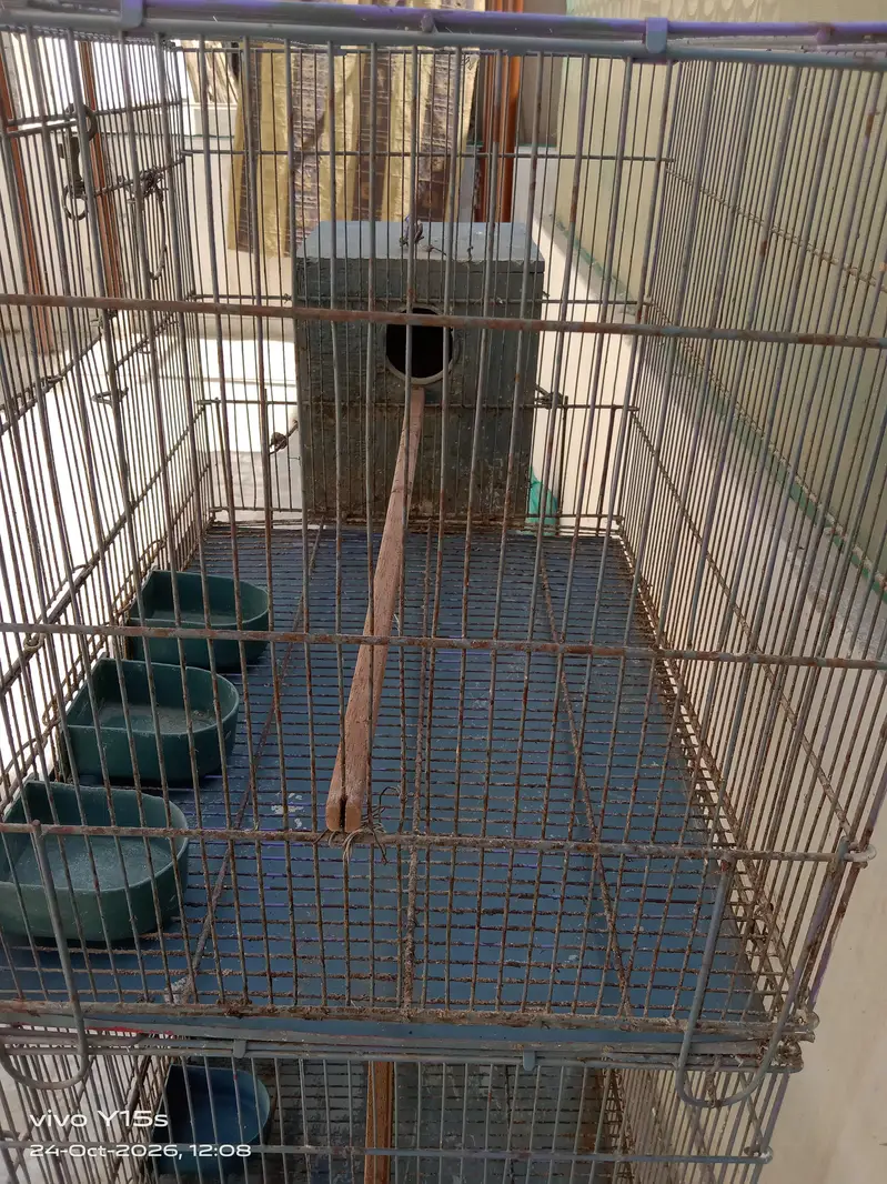 Beautiful Cage | Iron Cage — photo 5