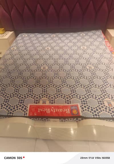 Master foam beauty rest