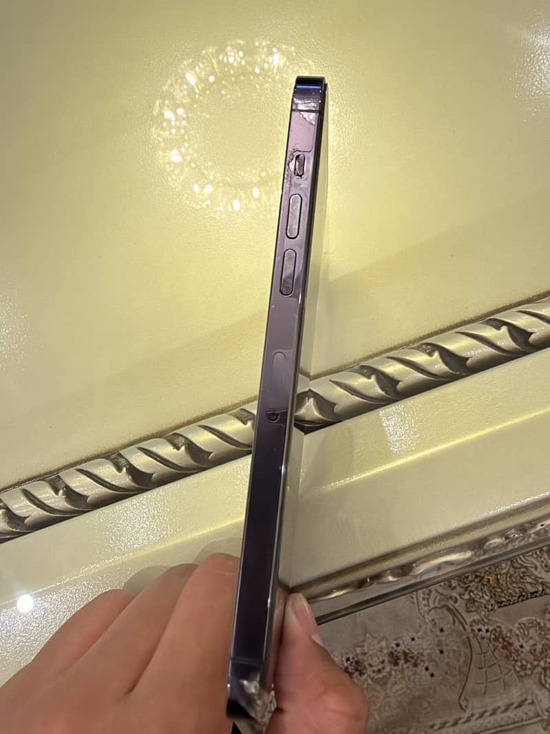 Apple iPhone 14 Pro Max 4