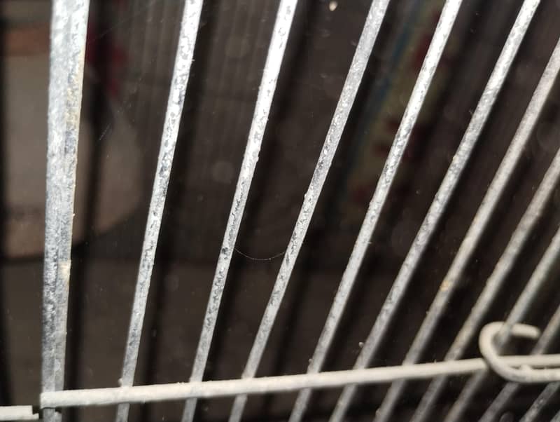 2 portion cage size 2 by 2 each portion 1