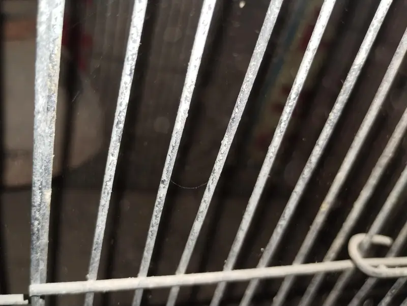 2 portion cage size 2 by 2 each portion — photo 2