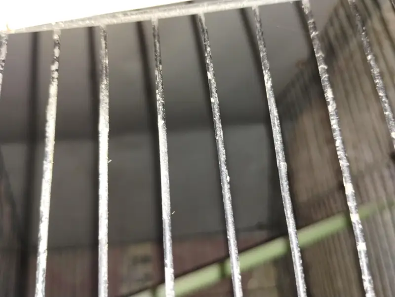 2 portion cage size 2 by 2 each portion — photo 3