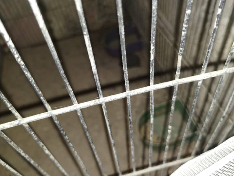 2 portion cage size 2 by 2 each portion 3
