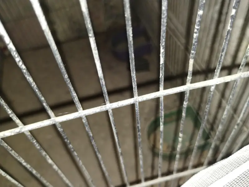 2 portion cage size 2 by 2 each portion — photo 4