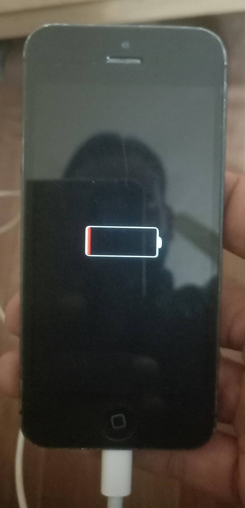 Apple iPhone 5 0