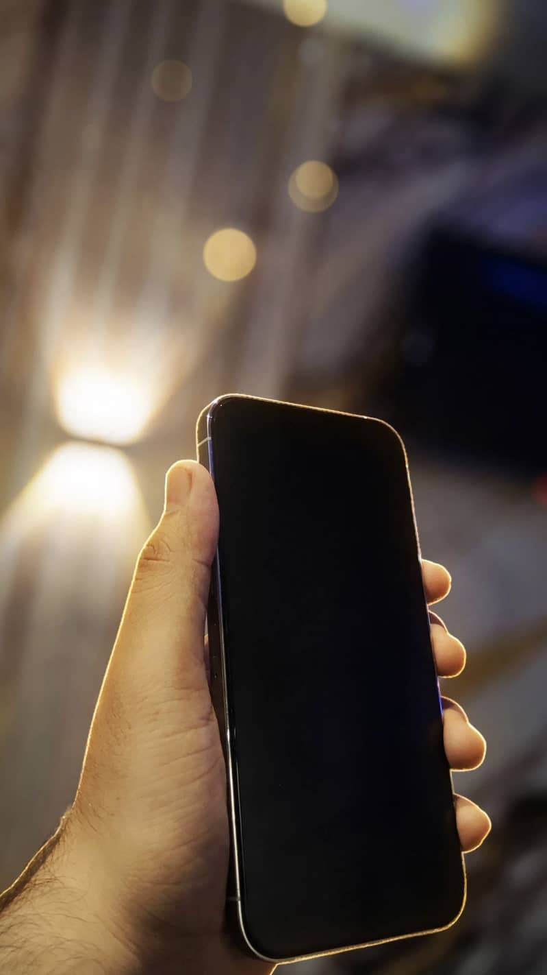 Apple iPhone 13 Pro Max 1