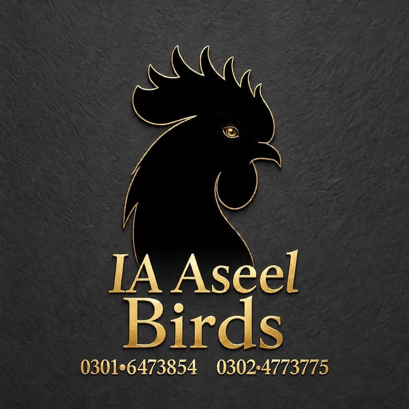 dragon aseel 7