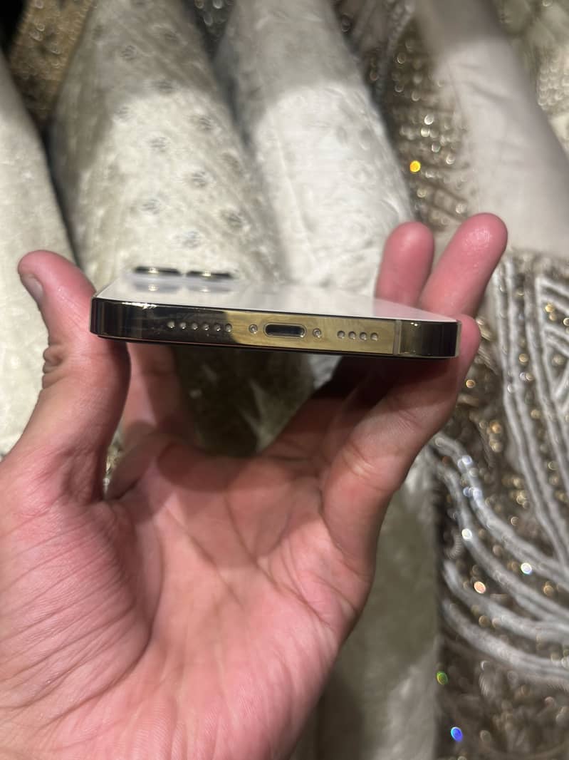 Apple iPhone 13 Pro Max 1
