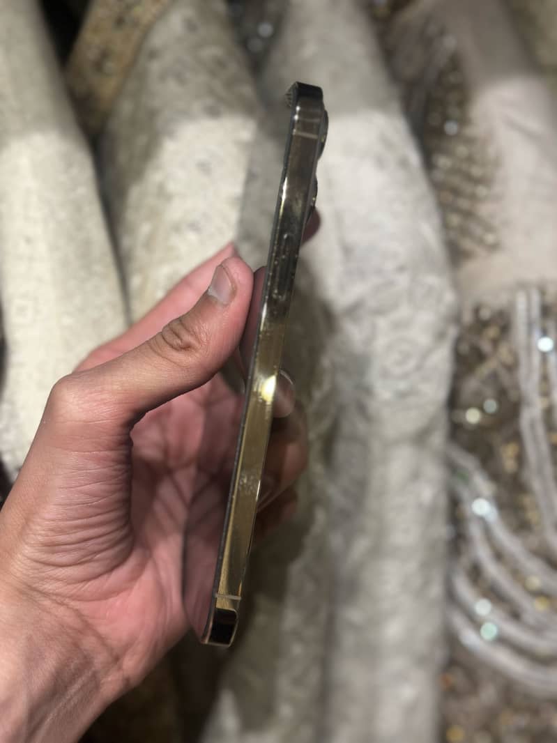 Apple iPhone 13 Pro Max 3