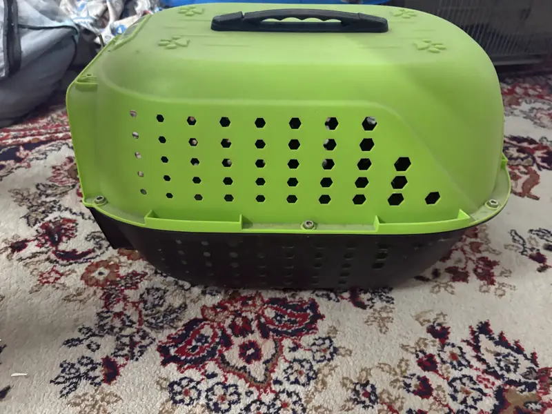 Cats cage and cats scratch post — photo 2