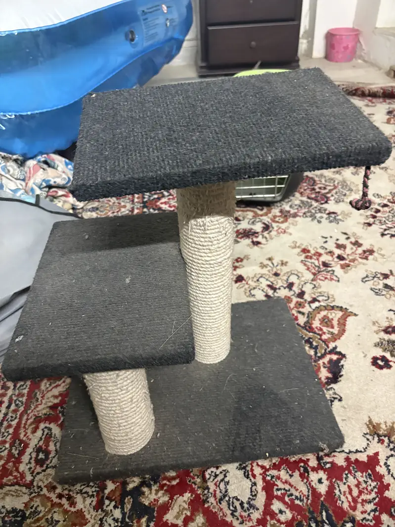 Cats cage and cats scratch post — photo 4