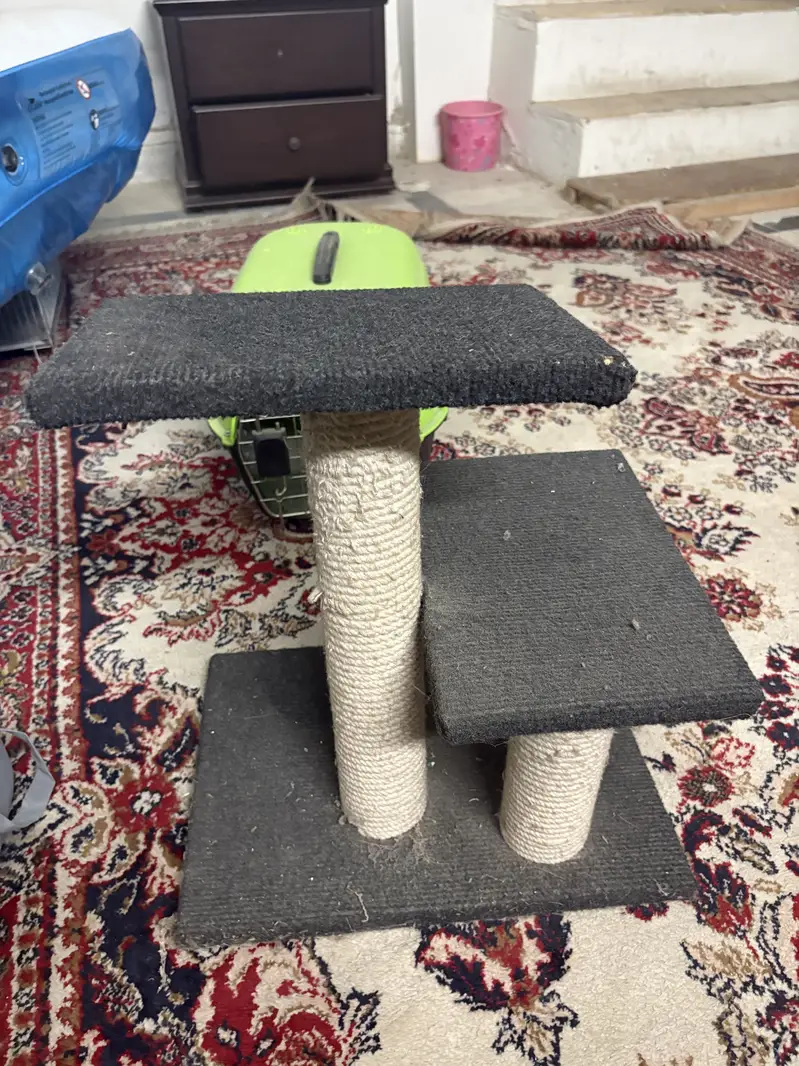 Cats cage and cats scratch post — photo 5