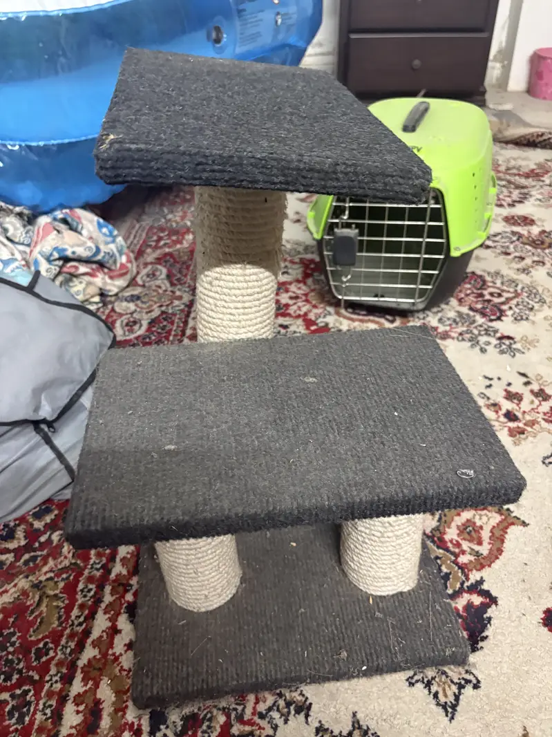 Cats cage and cats scratch post — photo 6