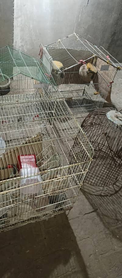 iron cages for sale
