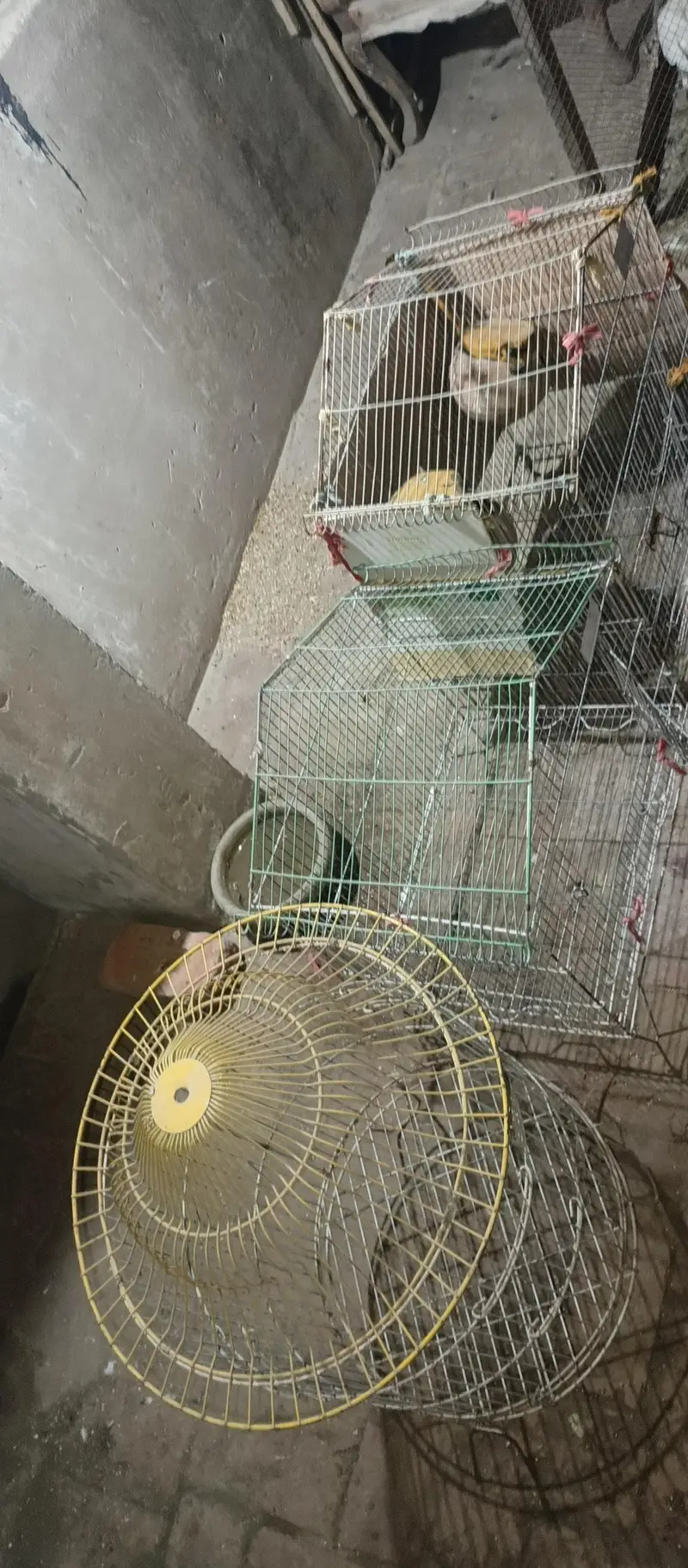 iron cages for sale — photo 2