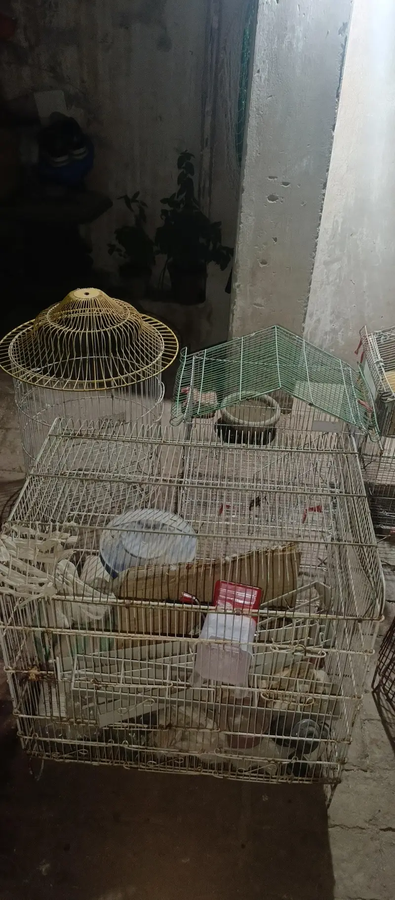 iron cages for sale — photo 3