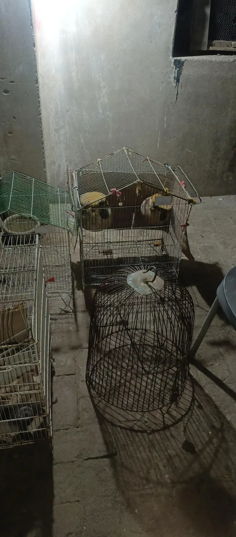 iron cages for sale — photo 4
