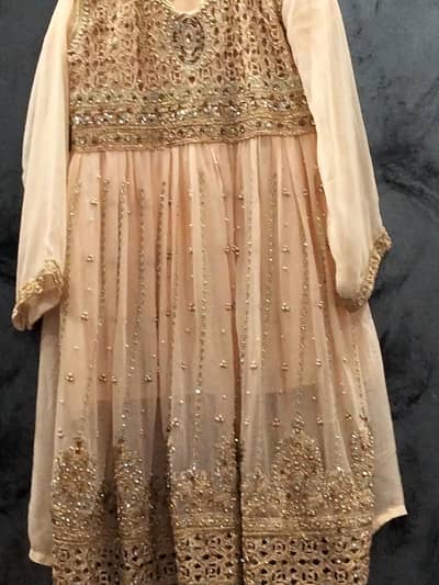 new chiffon women's suit
