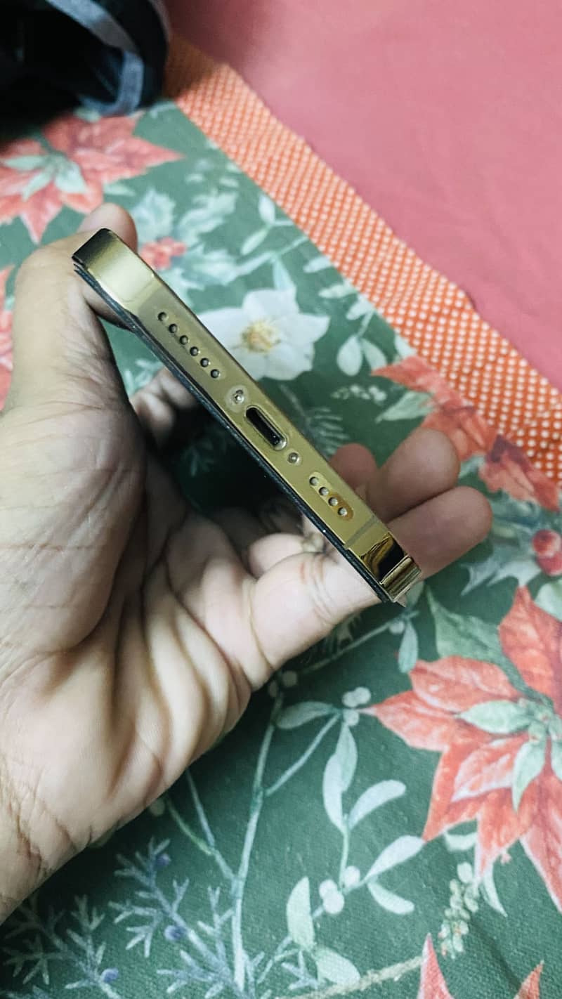 Apple iPhone 13 Pro Max 1