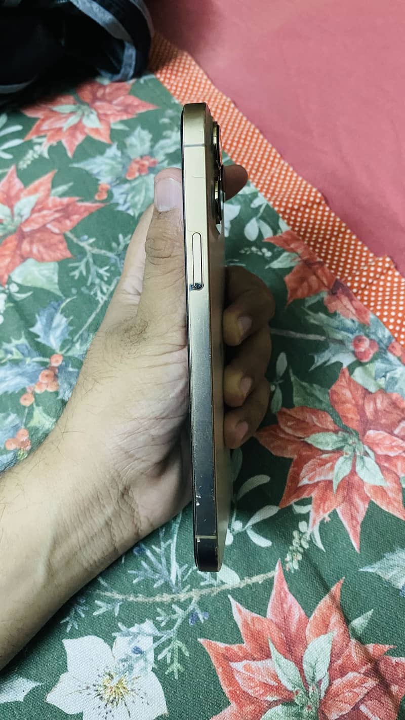 Apple iPhone 13 Pro Max 4
