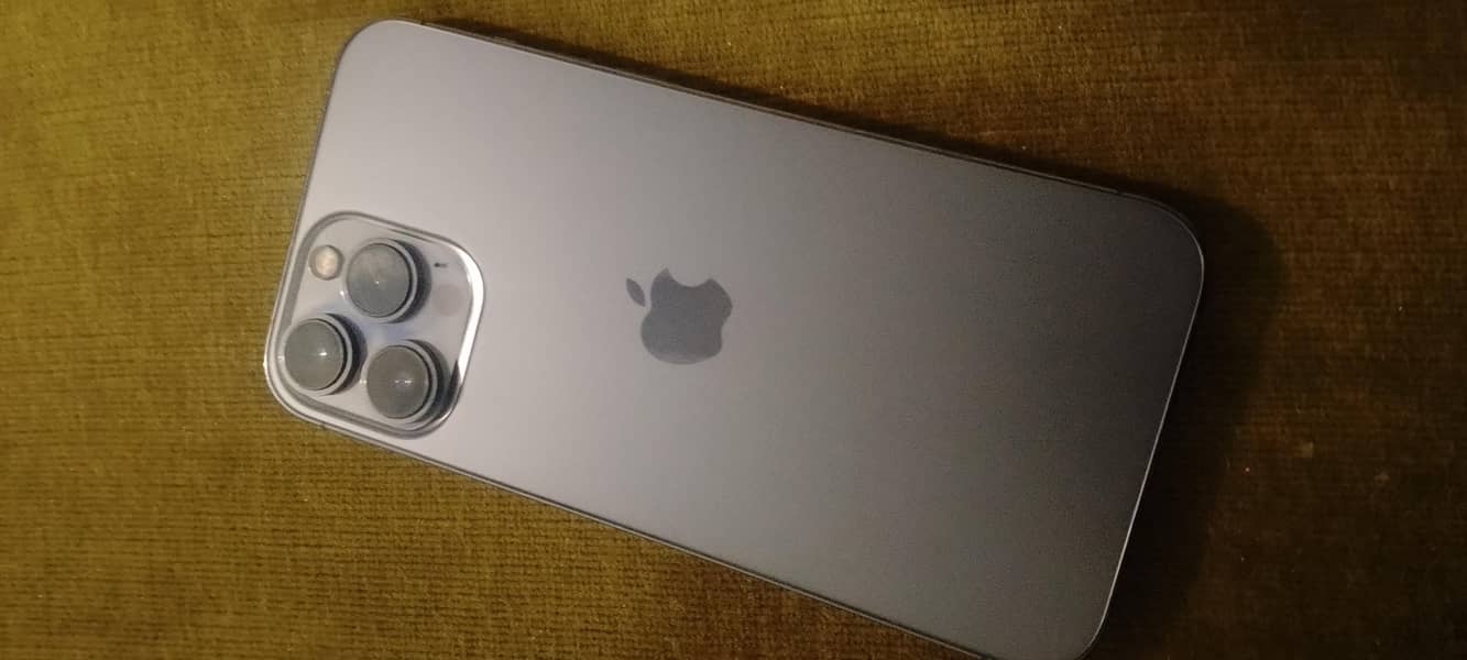 Apple iPhone 13 Pro Max 1